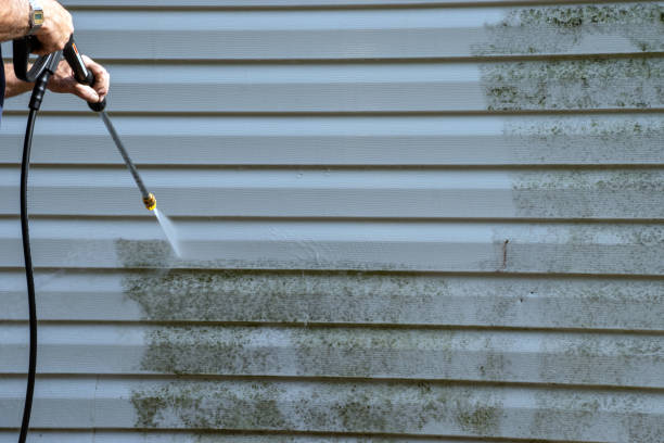 Best Demolition Debris Removal  in Norton Center, MA